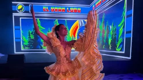 carnavald el suroriente.webp