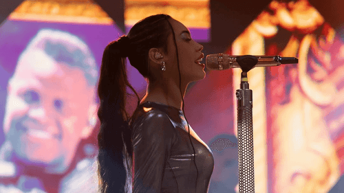 Ana del Castillo, cantante vallenata