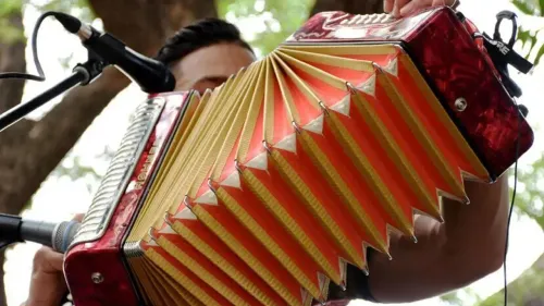 festival vallento (1).webp