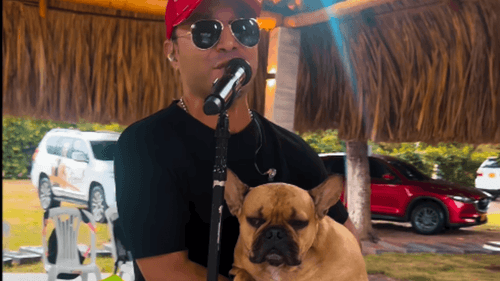 Alfonso Stummo, cantante vallenato